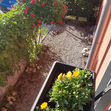 Tillyhome Nürnberg